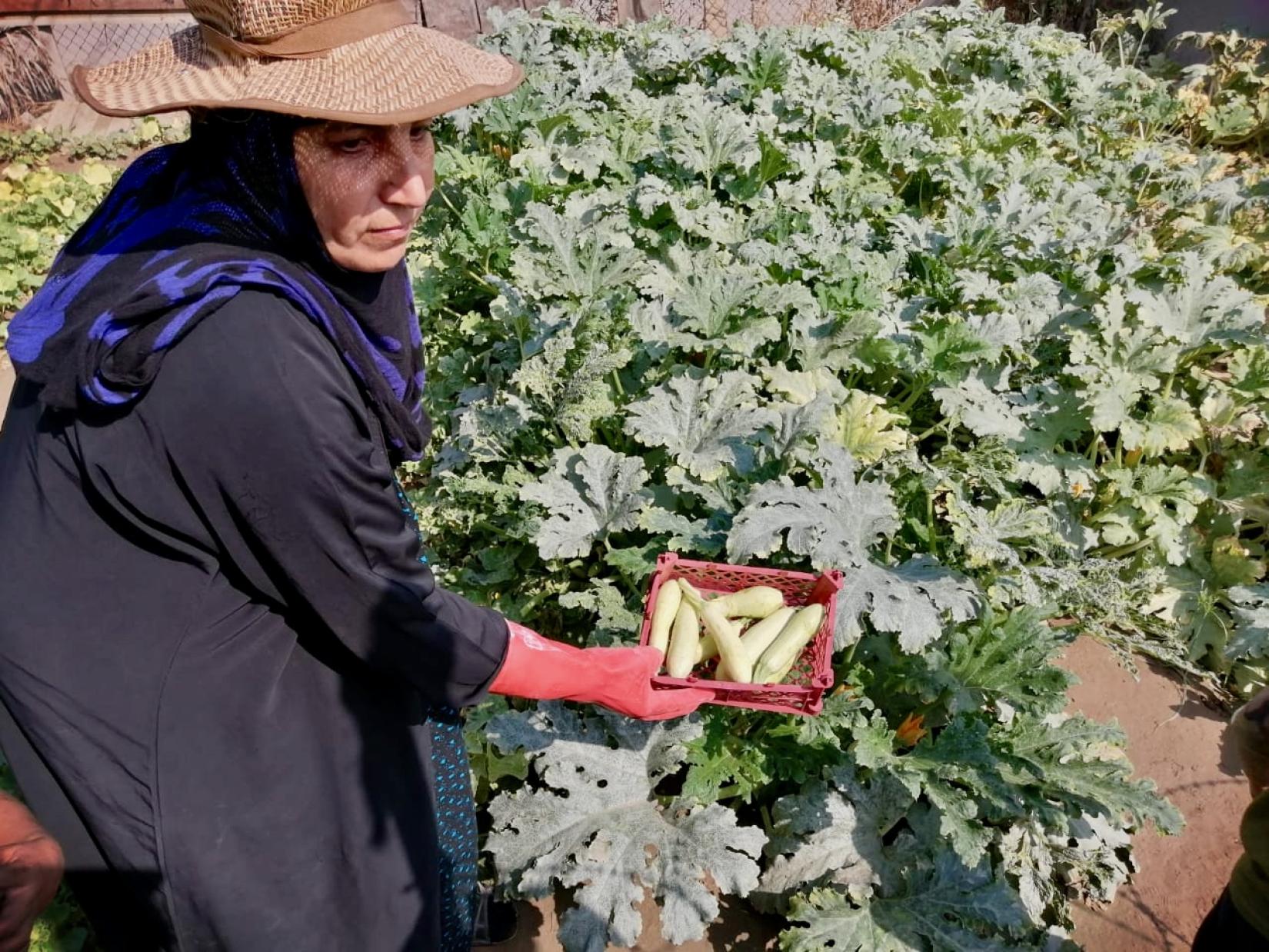 Joint Statement by FAO & WFP in Iraq on International Day of Awareness